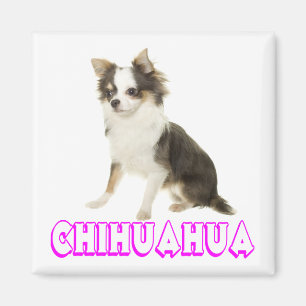 Íman Ímã de Geladeira Cachorro Chihuahua Filhote Amor