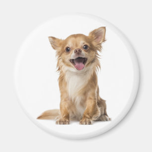 Íman Ímã de Geladeira Cachorro Chihuahua Filhote Amor