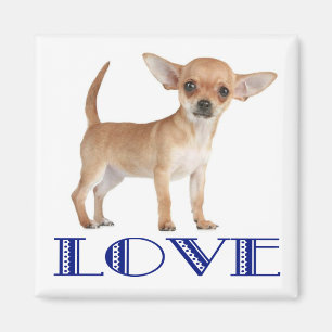 Íman Ímã de Geladeira Cachorro Chihuahua Filhote Amor