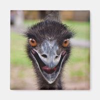 Imã de geladeira Cheeky Emu