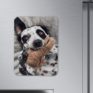 Íman Ímã de Geladeira com Foto Personalizada