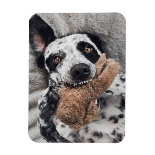 Íman Ímã de Geladeira com Foto Personalizada