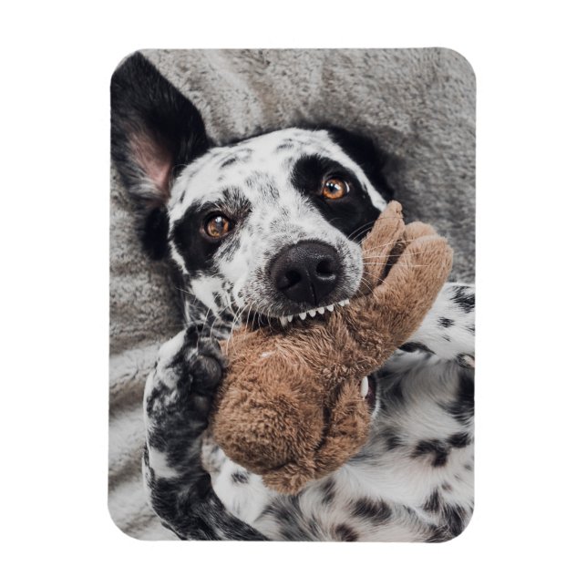 Íman Ímã de Geladeira com Foto Personalizada (Vertical)