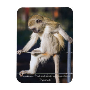 Íman Imã de geladeira com macaco e slogan