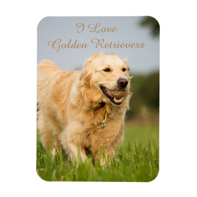 Íman Imã de geladeira com o Ouro Retriever e Slogan (Vertical)