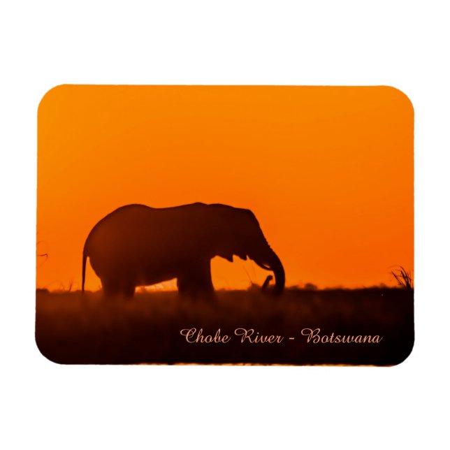 Íman Imã de geladeira com silhueta de elefante (Horizontal)