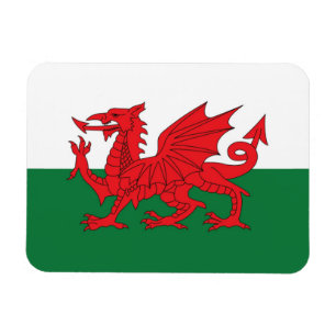 Íman Imã de geladeira da bandeira de Galês