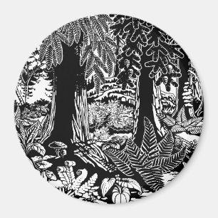 Íman Imã de geladeira da Floresta do Magnet Stanley Pa