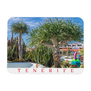 Íman Imã de geladeira das árvores de Tenerife