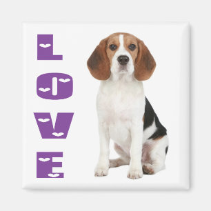Íman Ímã de Geladeira de Cachorro Beagle Fofinho de Amo
