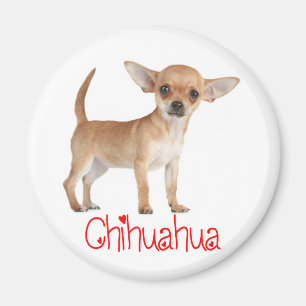 Íman Ímã de Geladeira de Cachorro Chihuahua Filhote Amo