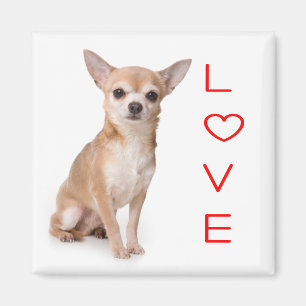 Íman Ímã de Geladeira de Cachorro Chihuahua Filhote Amo