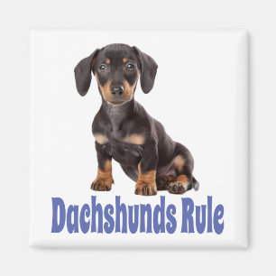 Íman Imã de geladeira de Cachorro Dachshund