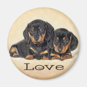 Íman Imã de geladeira de Cachorro Dachshund
