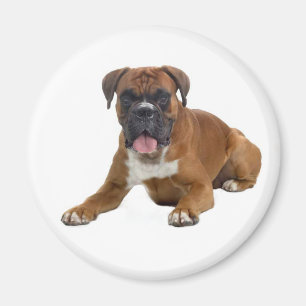 Íman Imã de geladeira de Cão-de-Açúcar