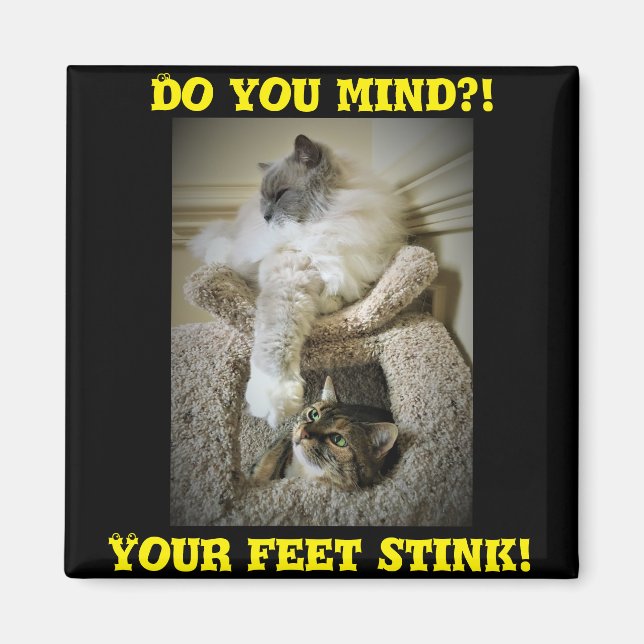 Íman Imã de geladeira de Gatos Engraçados (Frente)