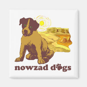 Íman Imã de geladeira de Nowzad
