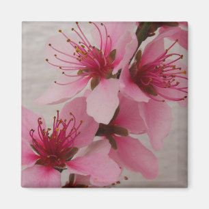 Íman Imã de geladeira de Peach Blossom