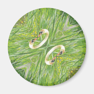 Íman Imã de geladeira de quatro cisnes