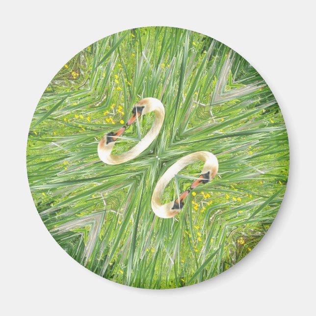 Íman Imã de geladeira de quatro cisnes (Frente)