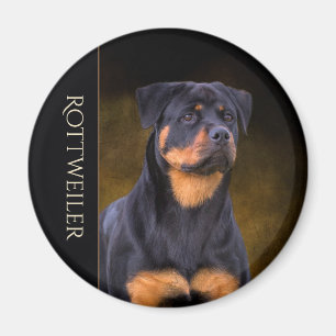 Íman Imã de geladeira de Rottweiler