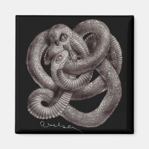 Íman Imã de geladeira de "Snowl" Eco