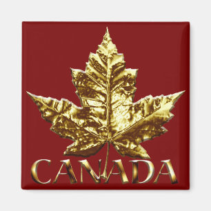 Íman Imã de geladeira de Souvenir Dourada do Canadá Pre