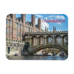 Íman imã de geladeira de visualização Cambridge Brid