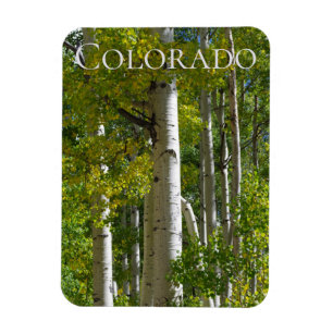 Íman Imã de geladeira do Colorado Aspens Designer