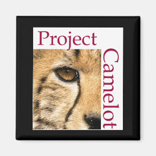 ÍMAN IMÃ DE GELADEIRA DO PROJETO CAMELOT