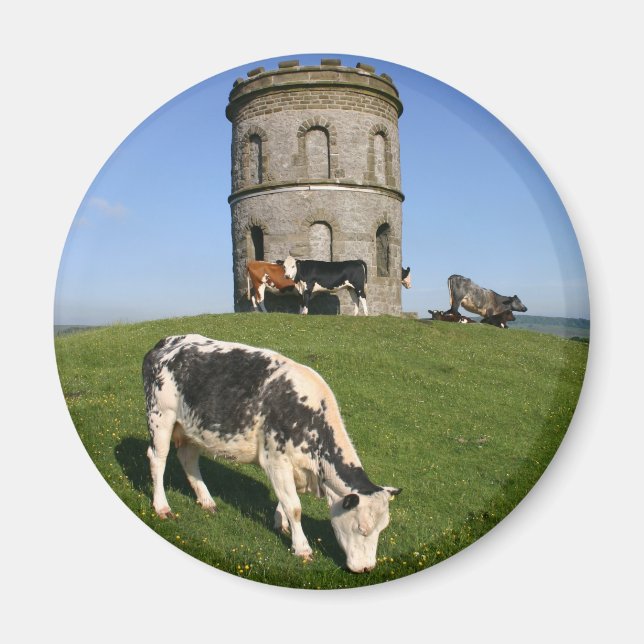 Íman Imã de geladeira do Templo de Salomão (Frente)