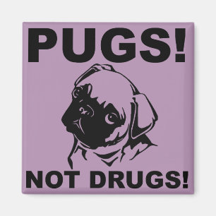Íman Ímã de Geladeira Frigobar Engraçado Pugs Não Droga