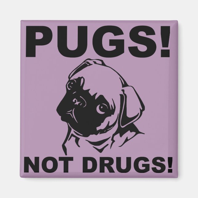 Íman Ímã de Geladeira Frigobar Engraçado Pugs Não Droga (Frente)