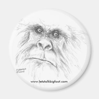 Íman Imã de geladeira LTB