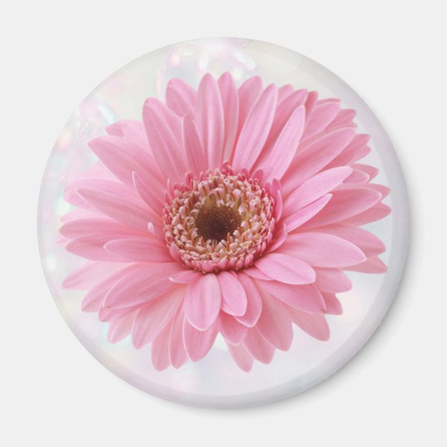Íman Imã de geladeira Rosa Gerbera (Frente)