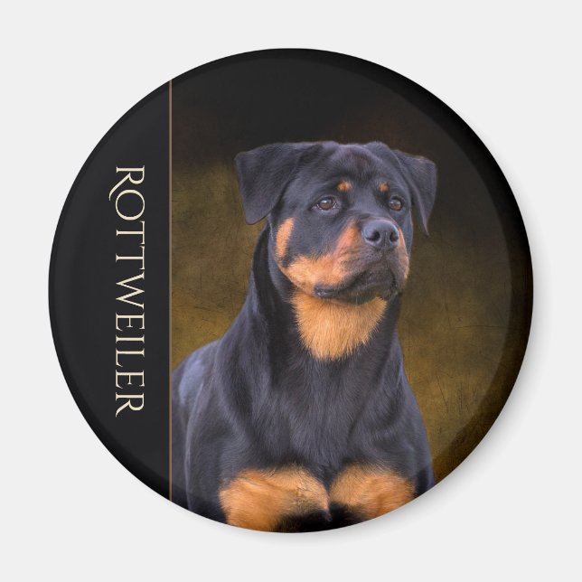Íman Imã de geladeira Rottweiler (Frente)
