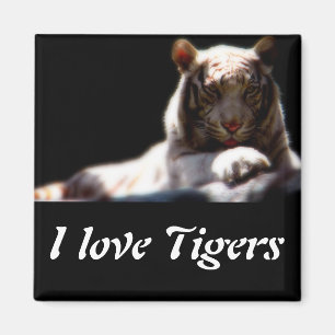 Íman Ímã de Geladeira Tigre Branco
