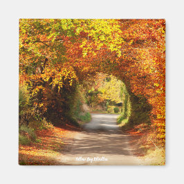 Íman Imã de geladeira Yellow Bog Kilcullen