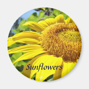 Íman Ímã de girassol Ímãs de flores de verão Girassóis