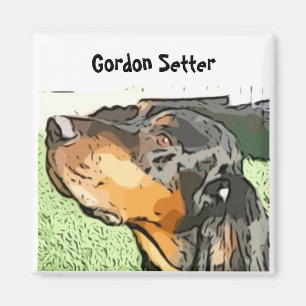 Íman Ímã de Gordon Setter