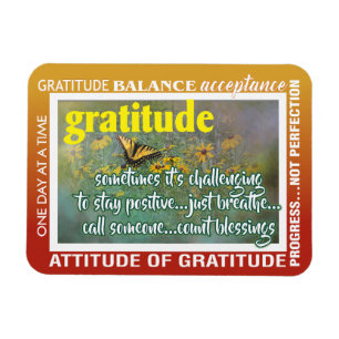Íman ímã de inspiração de gratidão