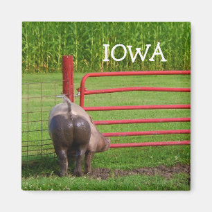 Íman Ímã de Iowa