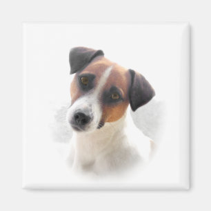 Íman Ímã de Jack Russell