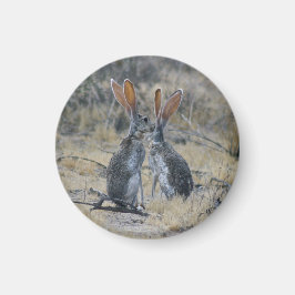 Íman Ímã de Jackrabbits
