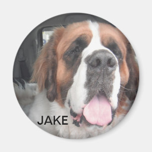 ÍMAN ÍMÃ DE JAKE