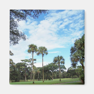Íman Ímã de Kiawah Island