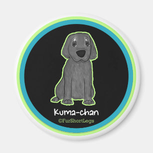 Íman ímã de Kuma-chan