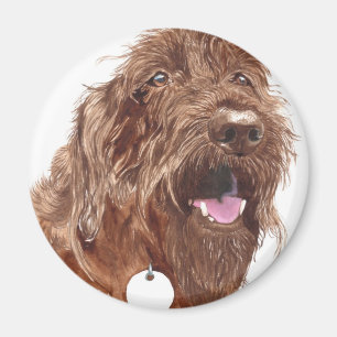 Íman Ímã de Labradoodle #1 do chocolate