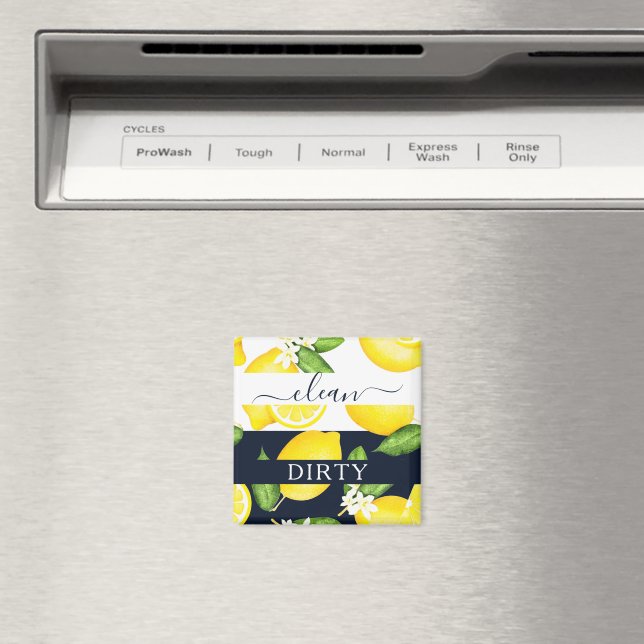 Íman Ímã de Limão Botânico Sujo Limpo (In Situ (Dishwasher))