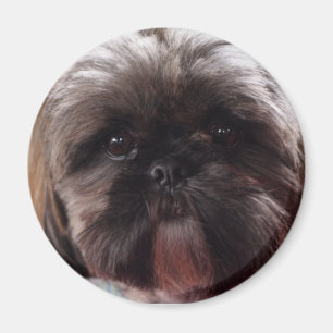 Íman Ímã de Millie